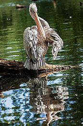 2024年美国最赚钱游戏排行 EA体育游戏霸榜